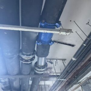 picture16